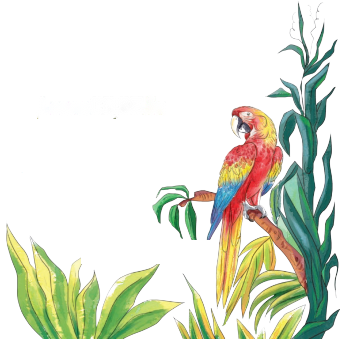 काजीरंगा राष्ट्रीय उद्यान की यात्रा (Kaziranga_Rashtriya_Udyan) Diagram 8