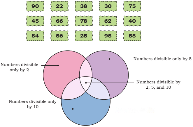 Animal Jumps Diagram 15