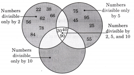 Animal Jumps Diagram 16
