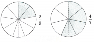 Fractions Diagram 56