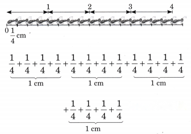 Fractions Diagram 65