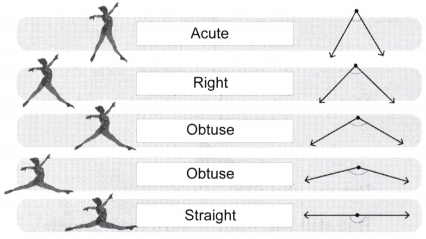 Angles as Turns Diagram 13