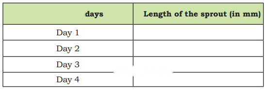 Far and Near Diagram 11