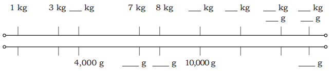 Weight and Capacity Diagram 10