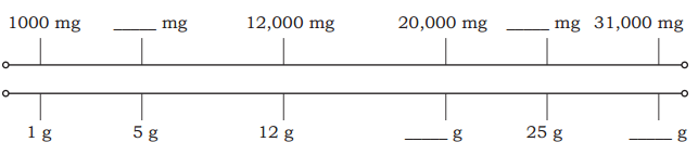 Weight and Capacity Diagram 13