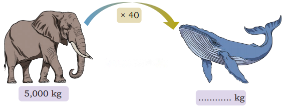 Weight and Capacity Diagram 16
