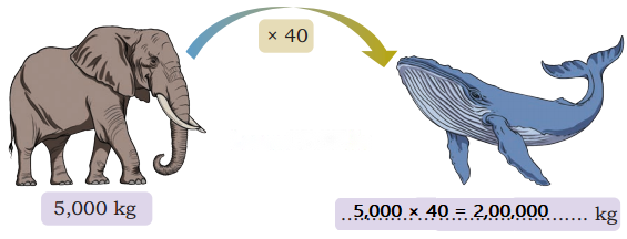 Weight and Capacity Diagram 17