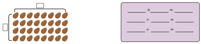 Coconut Farm Diagram 1