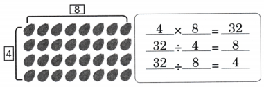 Coconut Farm Diagram 2