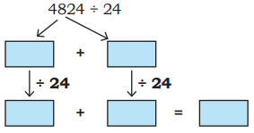 Coconut Farm Diagram 21