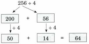 Coconut Farm Diagram 27
