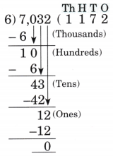 Coconut Farm Diagram 56
