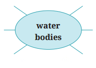 The Winner Diagram 4