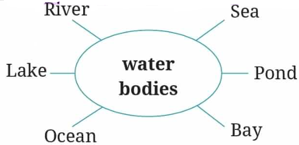 The Winner Diagram 5