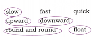 The Kites Diagram 11