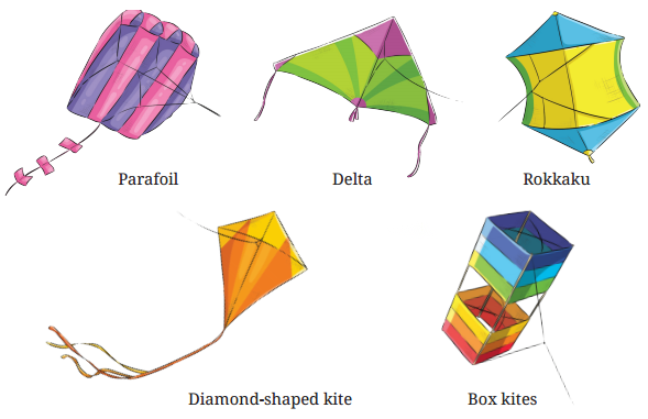 The Kites Diagram 13
