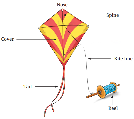 The Kites Diagram 7