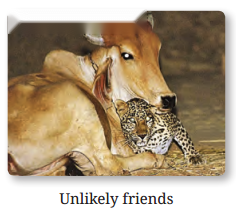 The Unlikely Best Friends Diagram 10