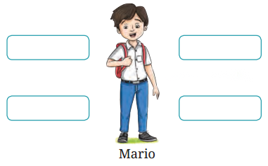 The Chair Diagram 7