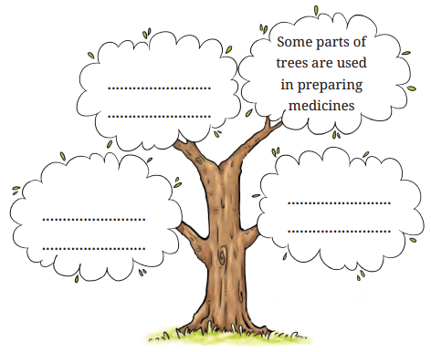 Neem Baba Diagram 1