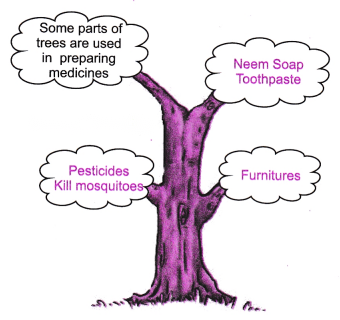 Neem Baba Diagram 2