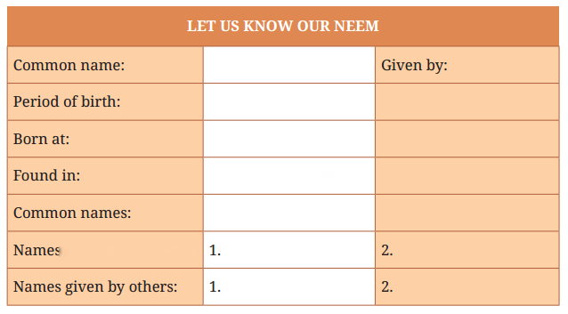 Neem Baba Diagram 4