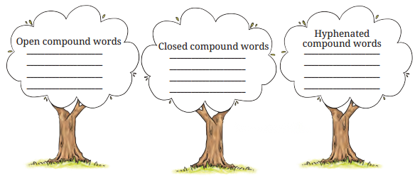 Neem Baba Diagram 5