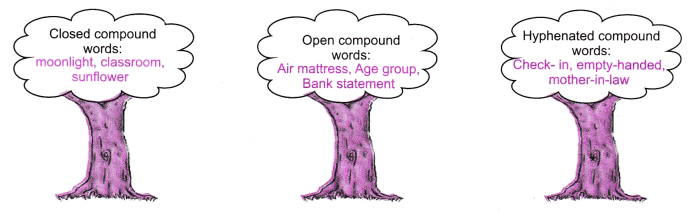 Neem Baba Diagram 6