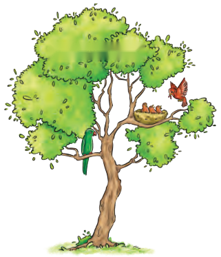 What a Bird Thought Diagram 1