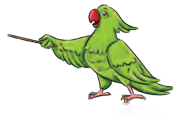 What a Bird Thought Diagram 12