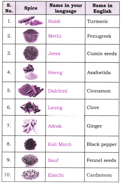 Spices That Heal Us Diagram 2
