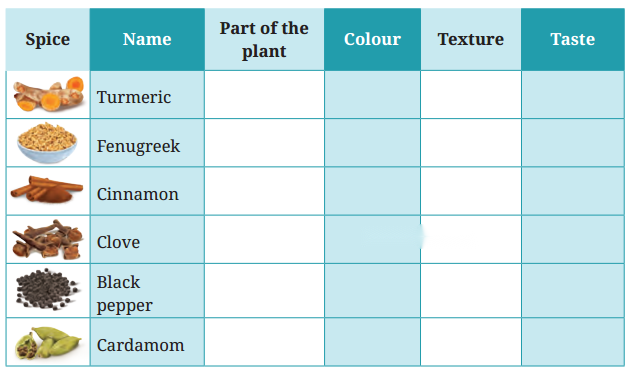 Spices That Heal Us Diagram 3