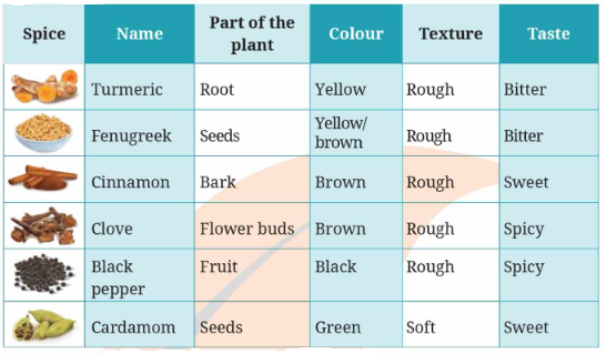 Spices That Heal Us Diagram 4