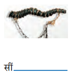 Class 6 Hindi Chapter 1 Diagram 9