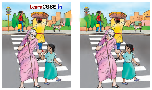 Class 6 Hindi Chapter 10 Diagram 10