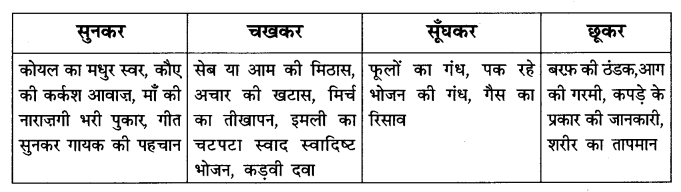 Class 6 Hindi Chapter 11 Diagram 4