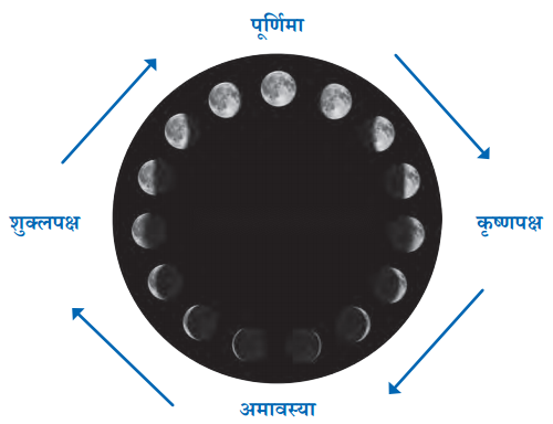 Class 6 Hindi Chapter 7 Diagram 9