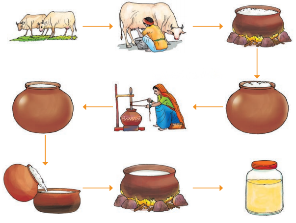 Class 6 Hindi Chapter 9 Diagram 6