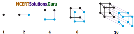 Patterns in Mathematics Diagram 10