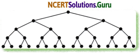 Patterns in Mathematics Diagram 11