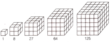 Patterns in Mathematics Diagram 19