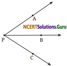 Lines and Angles Diagram 13