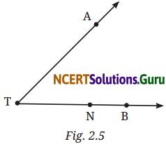 Lines and Angles Diagram 3