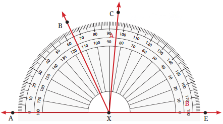 Lines and Angles Diagram 33