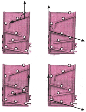 Lines and Angles Diagram 43