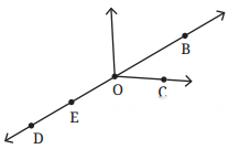 Lines and Angles Diagram 8