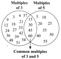 Prime Time Diagram 2