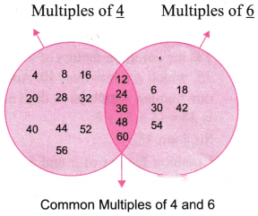 Prime Time Diagram 5