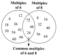Prime Time Diagram 7