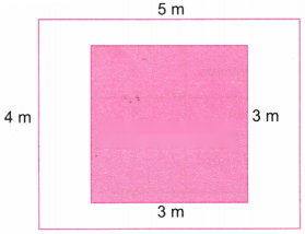Perimeter and Area Diagram 10